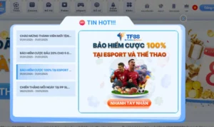 Bảo Hiểm Cược Thua Tại Nhà Cái TF88: Giải Pháp An Toàn Cho Người Chơi 5 Cách Thức Hoạt Động Của Bảo Hiểm Cược Thua Tại TF88