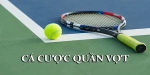 Quần Vợt BONGVIP: Đỉnh Cao Đam Mê, Khám Phá Sân Chơi Cá Cược Thể Thao 6 Quần Vợt BONGVIP: Đỉnh Cao Đam Mê, Khám Phá Sân Chơi Cá Cược Thể Thao