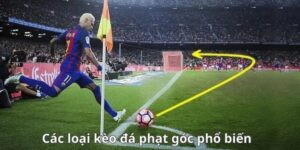 Keovip.us Hướng Dẫn Cách Chơi Kèo Phạt Góc Bóng Đá Hiệu Quả 1 Kèo Phạt Góc